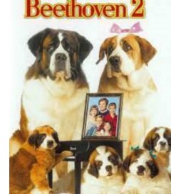 DVD BEETHOVEN 2